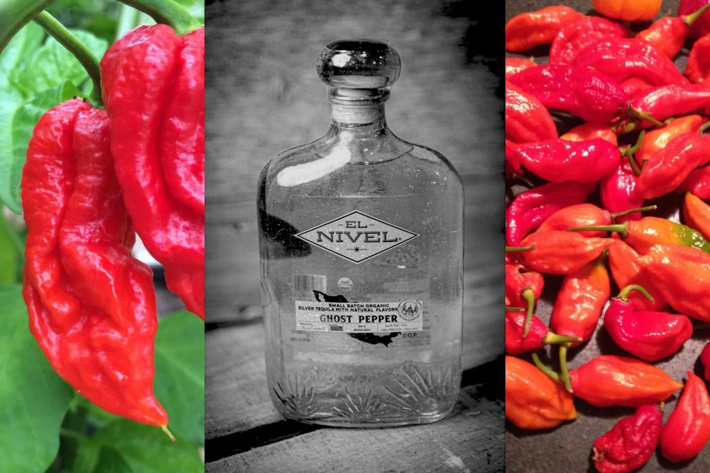 No pain no gain. Every El Nivel bottle is crafted, labeled and sealed by hand, making each a unique piece that could feel as much at home in an art gallery as your home bar. But first you have to get through a bottle of ghost pepper tequila. Ouch! Photo courtesy of El Nivel