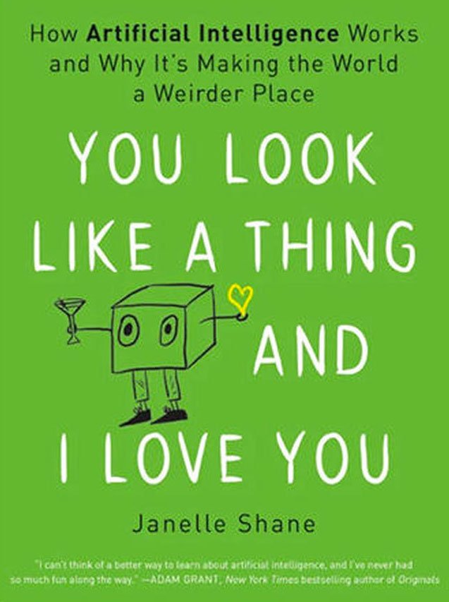 You Look Like A Thing and I Love You by Janelle Shane