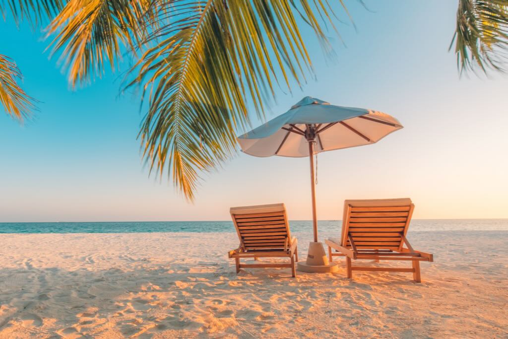Beach chairs umbrella and palm trees on a beach